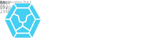 Lionsbot